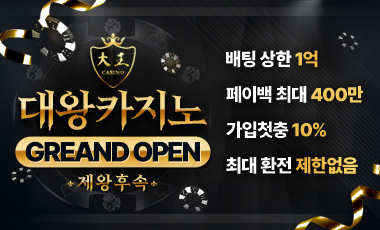 카지노사이트 대왕카지노 바둑이사이트넷